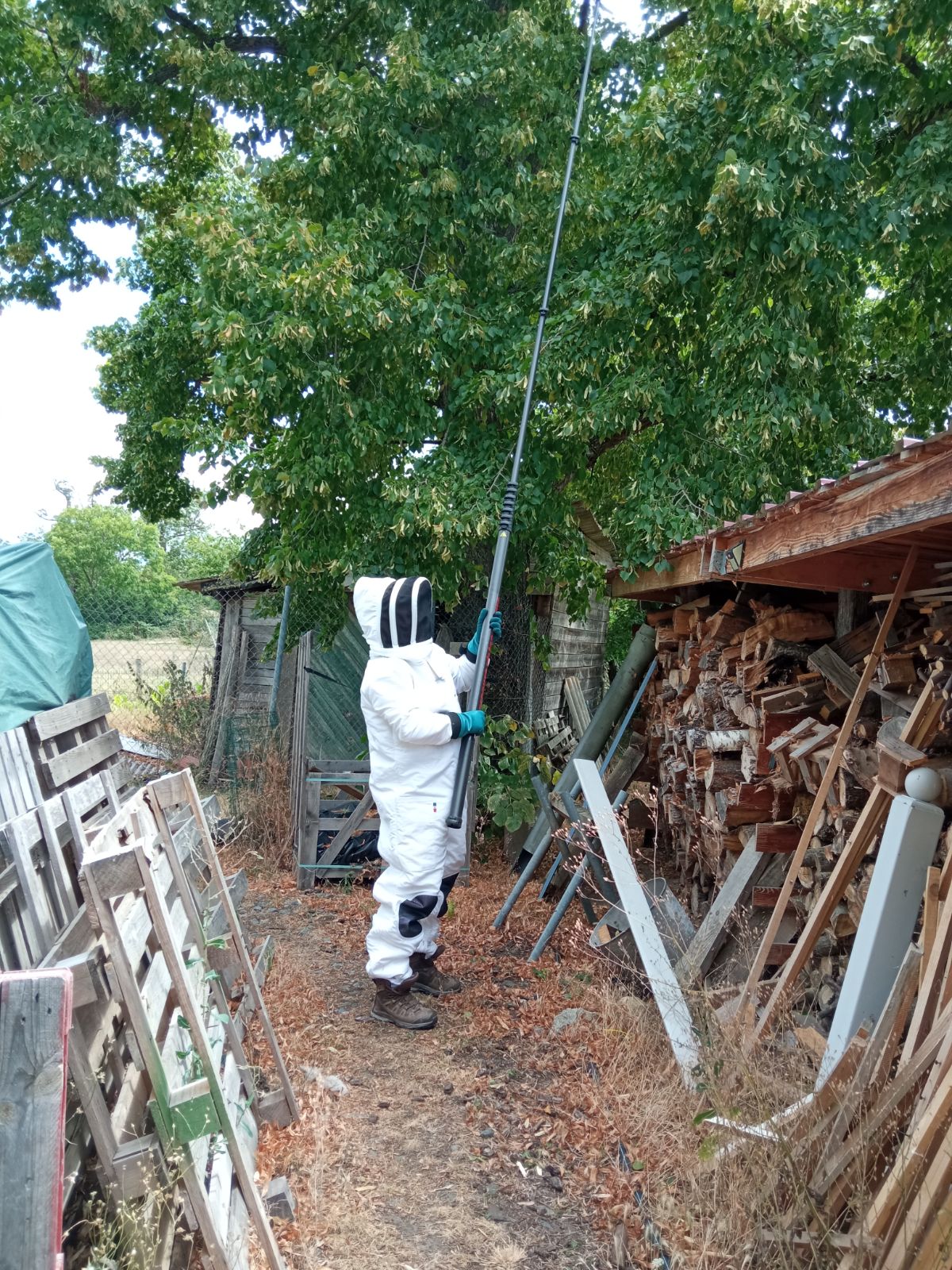 Bienvenue chez SOS Nuisibles 42 !