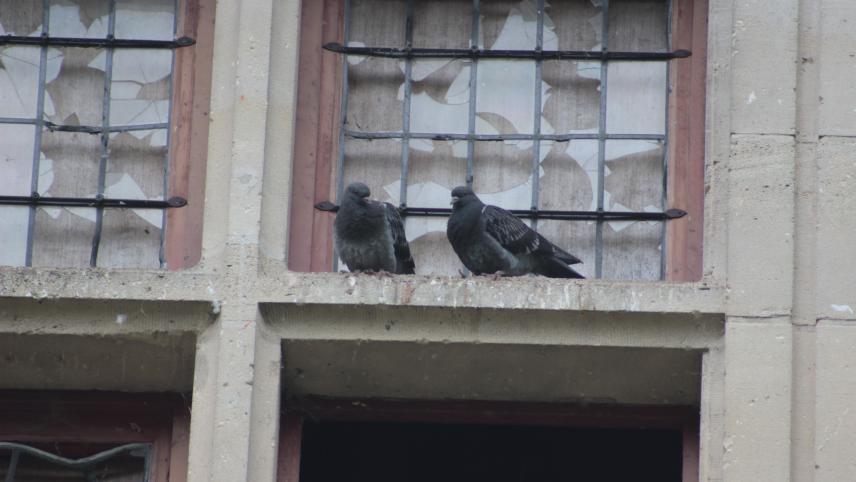 Méthode : tir à air comprimé de nuit