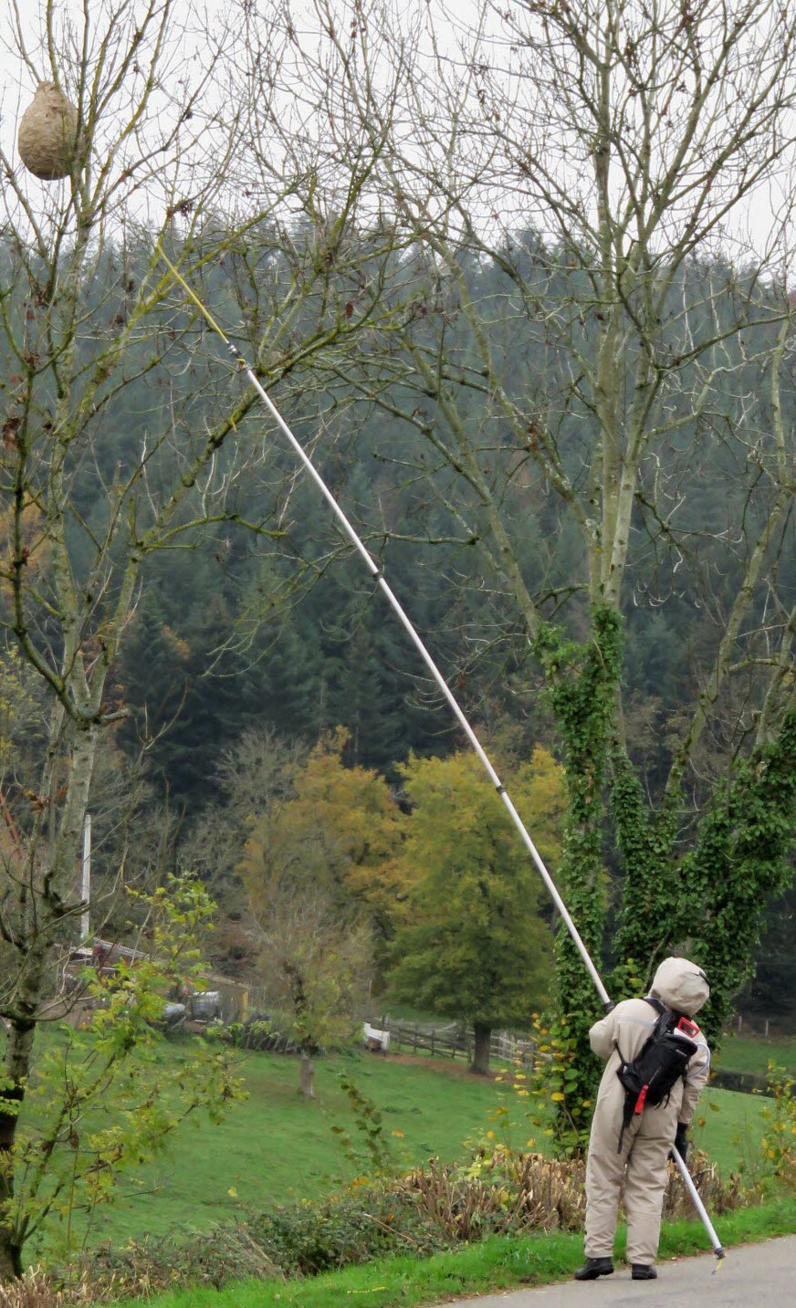 Perche avec injection de poudre
